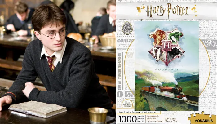 The Best 5 Harry Potter 1000 Piece Jigsaw Puzzles